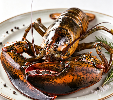 Royal Maine Lobster Fresh Catch Premium Quality - photo 2