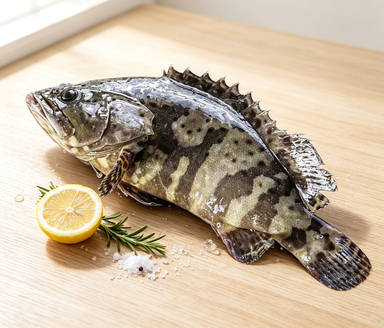 Exquisite Whole Stonefish Freshness Redefined - photo 1
